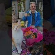 С 8 марта дорогие наши