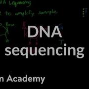 DNA Sequencing Biomolecules MCAT Khan Academy