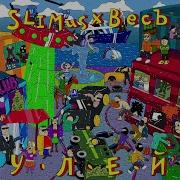 05 SLIMUS ВесЪ Воронок