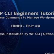 WP CLI Tutorials For Beginners In Hindi 4 WordPress Installation By WP CLI Settings Options Flag