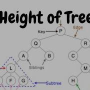 Tree Height Of A Binary Tree HackerRank