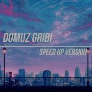 Oğuzhan Koç Domuz Gribi Speed Up