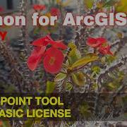 Recreating The Erase Point Tool With ArcPy Python For ArcGIS Pro Basic License