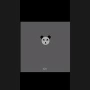 Create Panda Using Python Turtle Shorts Python Viral