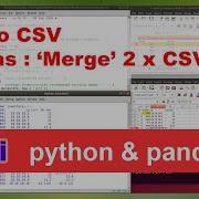 Python Pandas Extracting Text From PDF And MERGE 2 CSV Files