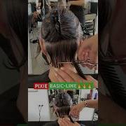 PIXIE BASIC LINE Full Tutorial Linked Below