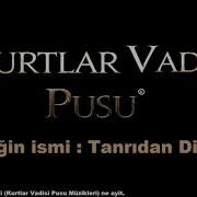 Kurtlar Vadisi Pusu Tanrıdan Diledim
