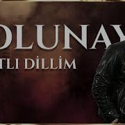 Tolunay Tatlı Dillim Neredesin Sen SIRA SENDE TÜRKİYE