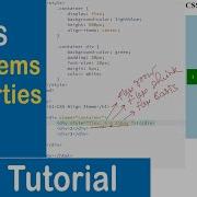 55 CSS Flex Items Properties Order Flex Grow Flex Shrink Flex Basis Align Self CSS Tutorial