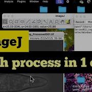 ImageJ Macros For Beginners How To Process 500 Images In A Single Click ImageJ Batch Processing