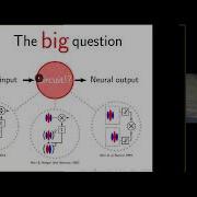 Prof Peter Neri On Computational Psychophysics At The Intersection Of Theory Data And Models