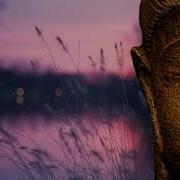 Best Of Buddha Luxury Bar 2018