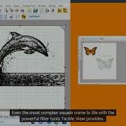 TactileView Converts Images Into Tactile Graphics And Generates Braille Compatible Graphs