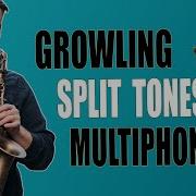 GROWLING SPLIT TONES MULITPHONICS