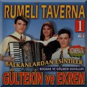 Karanfil Beyaz