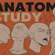 HOW I PRACTICE DRAWING ANATOMY