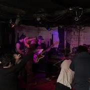 Seed Of Pain Raindogs 2 16 19 Full Set