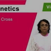 Test Cross In Genetics Determine Genotype Of Dominant Phenotype NEET Class 12 Neela Bakore