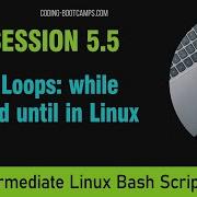 Master Linux Bash Scripting Session 5 5 Loops While And Until