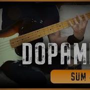 SUM 41 Dopamine Bass Cover Tabs