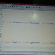 Html Radio Button Tutorial