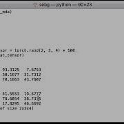 PyTorch Tensor To NumPy Convert A PyTorch Tensor To A NumPy Multidimensional Array