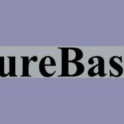 PureBasic