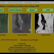 Python Code For Maize Plant Disease Detection Using CNN Neural Network Full Project Source Code