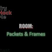 Packets Frames TryHackMe Walkthrough
