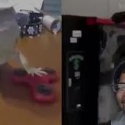 Ultimate Meme Compilation 3 REACTION