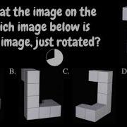 Mental Rotation Test