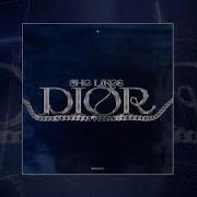 Edvan She Likes Dior Official Audio