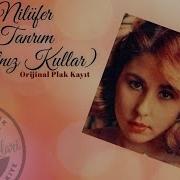 Nilüfer Tanrım Yalnız Kullar Dönem Plak Kaydı