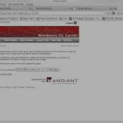 Injection Flaws Blind Numeric SQL Injection