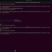 Create Docker Image For R Shiny App That Calls Python Script