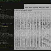 Windows Process Injection Technique Reflective DLL Injection