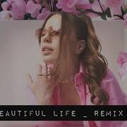 Ace Of Base Beautiful Life Mentol Remix