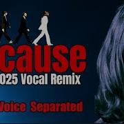 The Beatles BECAUSE Every Voice Stands Alone In 2025 Remix Not Blended But Separated