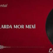 Bahçalarda Mor Meni Enstrümantal Fon Müziği