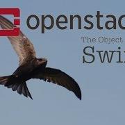 Working With The OpenStack Swift Object Store