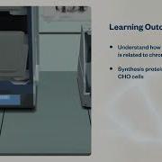 Treatment For Chronic Kidney Disease Virtual Lab