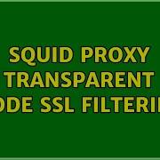 Squid Proxy Transparent Mode SSL Filtering