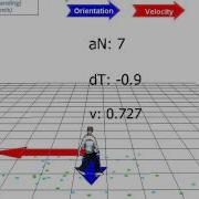 Avatar Locomotion In Crowd Simulation One Agent With APM
