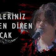 Tüyleriniz Diken Diken Olacak I Arnavutça Boşnakça Ve Türkçe Dilinde Çanakkale Türküsü