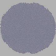 Reaction Diffusion Mitosis