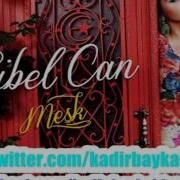 Sibel Can Çok Hoppasın 2012 Meşk Albümün Den