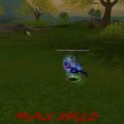 Silkroad Speed Bug