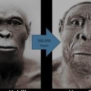 Evolution Visualized