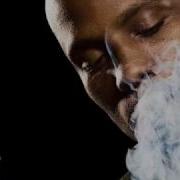 DMX Party Up In Here