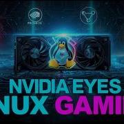 NVIDIA Targets Linux Gaming Proton Vulkan Optimization For Gamers
